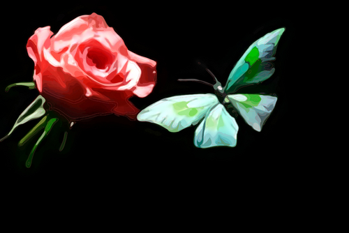  papillon and Rose