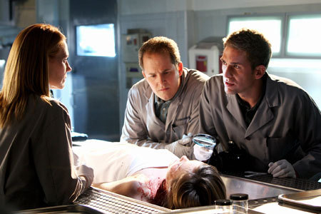 CSI Trilogy Crossover (Episode Three): Las Vegas