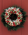 Christmas Wreath - christmas photo