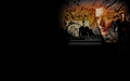 supernatural - Dean Winchester  wallpaper