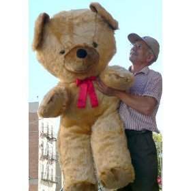  Giant Teddy