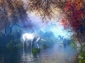 Magic - unicorns photo