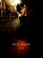 New Moon Posters - twilight-series photo