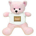 Pink Teddy Friend For Olivia ! - stuffed-animals photo