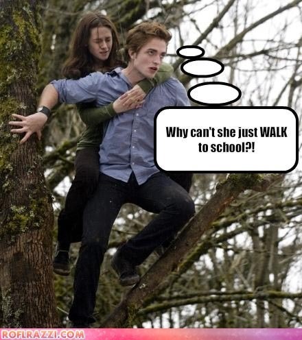 Twilight Funny Signs on Pattinson Edward Cullen Funny        Twilight Series Fan Art