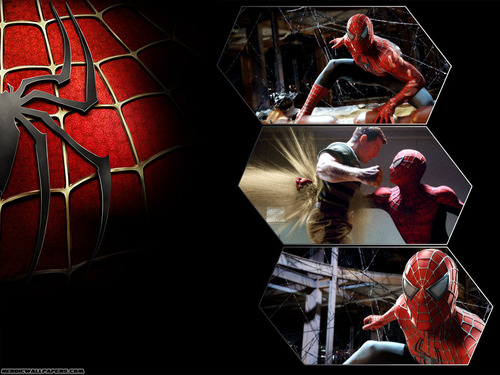  Spiderman দেওয়ালপত্র