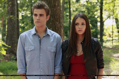 Stefan et Elena