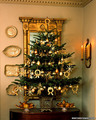 The Christmas Tree - christmas photo