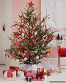 The Christmas Tree - christmas photo