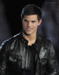 moving icons i made  - taylor-lautner icon