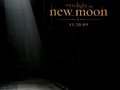 new moon - twilight-series wallpaper