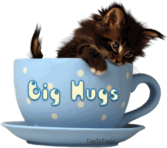  *Kitty Hugs*