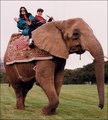 "elephant ride" - michael-jackson fan art