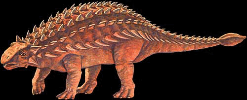  Ankylosaurs 2