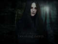Bella Cullen - Breaking Dawn - twilight-series wallpaper