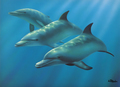 Dolphins by Andrew Patsalou - sea-life fan art