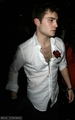 Ed at New Moon premiere/after party - gossip-girl photo