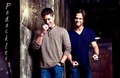 Jensen & Jared - supernatural fan art