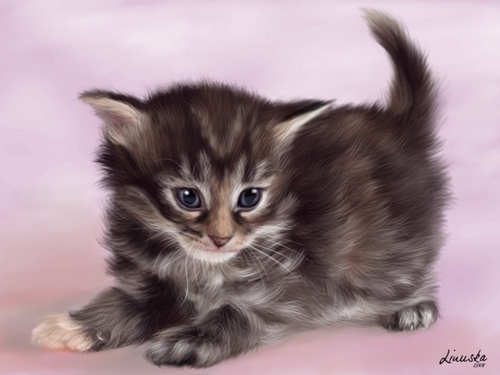  Kitties :3
