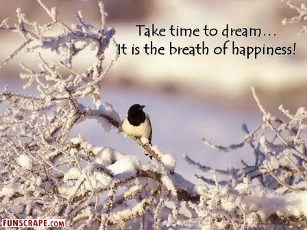  Take time to dream