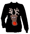 The Christmas Sweater - christmas photo