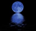 The blue moon - moon photo