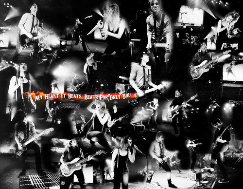 .Paramore Wallpapers <3