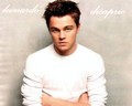 hottest-actors - DiCaprio wallpaper