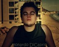 hottest-actors - DiCaprio wallpaper