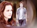 Edward and Bella in New Moon - twilight-series photo