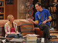 Episode Stills for "The Gorilla Experiment" - the-big-bang-theory photo