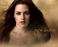 Official New Moon Wallpapers - twilight-series wallpaper