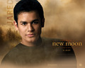 twilight-series - Official New Moon Wallpapers wallpaper
