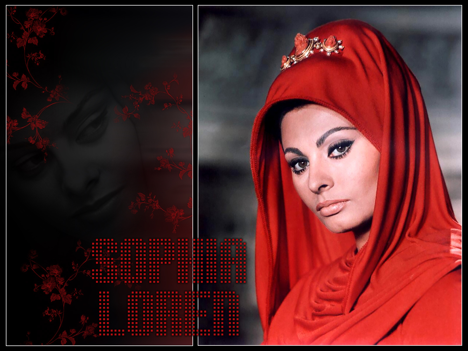 Sophia Loren - Wallpaper