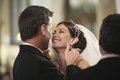 Susan and Mike wedding - desperate-housewives photo