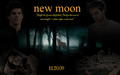 new moon - twilight-series photo