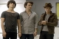 'More fun time with The Jonas Brothers and Xbox 360' - the-jonas-brothers photo