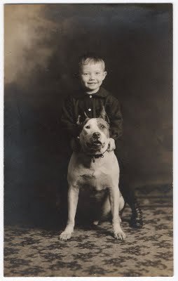  A little boy with a Pit stier, bull