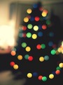 Christmas Lights - christmas photo