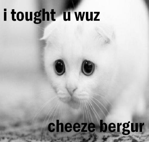 I though you was cheeze burger.JPG