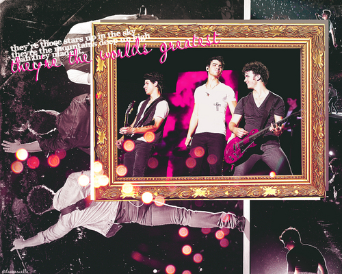  Jonas Brothers fondo de pantalla