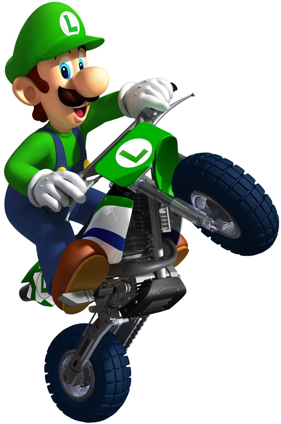 Mario and Luigi Mario Kart Wii