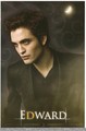 More "New Moon" Photocards  - twilight-series photo