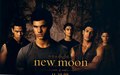 New Moon  - twilight-series photo