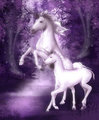 Unicorn Falls - unicorns photo
