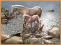 Unicorns In 3D - unicorns photo