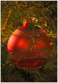 christmas tree ball - christmas photo