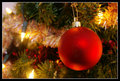 christmas tree ball - christmas photo