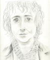 for the love of pippin - pippin-took fan art