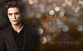 twilight-series - •♥• Edward & Bella NEW MOON Wallpaper •♥• wallpaper